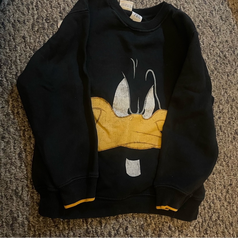 Zara boys sweater